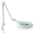 7" Acrylic Lens Pro LED Magnifying Lamp – CRI 95, CCT, 5D/20D Magnification, White