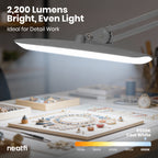 20” Wide Head LED Desk Lamp with Clamp – 2200 Lumens Task Light for Home Office & Crafts, Silver