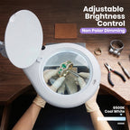 7-Inch Glass Lens Magnifying Lamp with Clamp, 5 Diopter, Magnifying with Light for Sewing, Painting, Jewelry Making, and Reading - White
